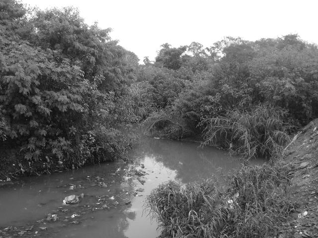 Curvas do São José