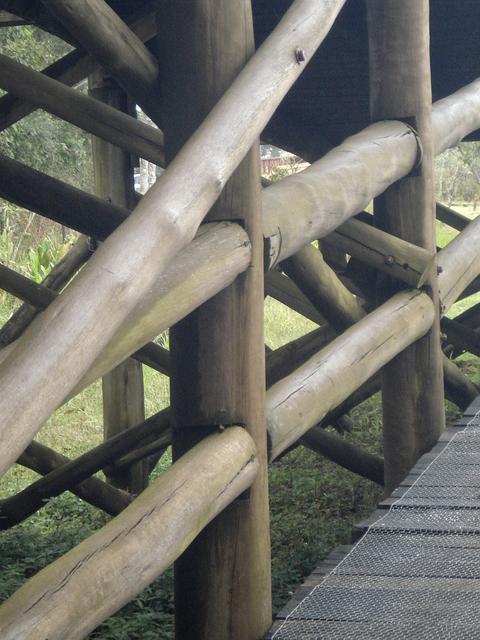 arquitetura & natureza
