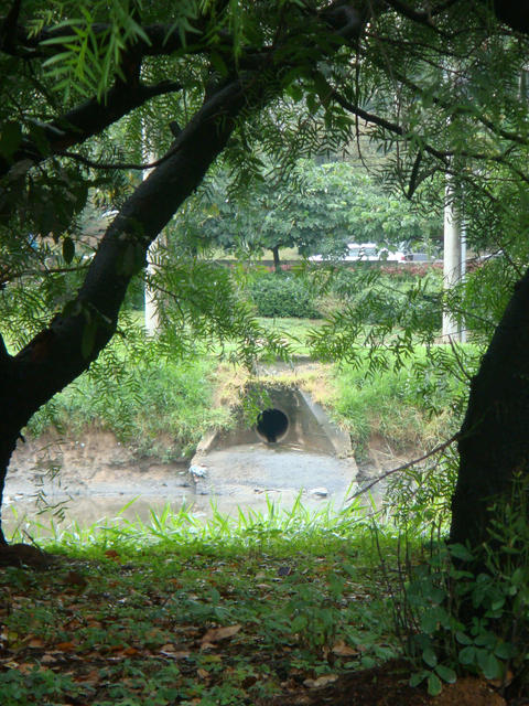 DSC01049