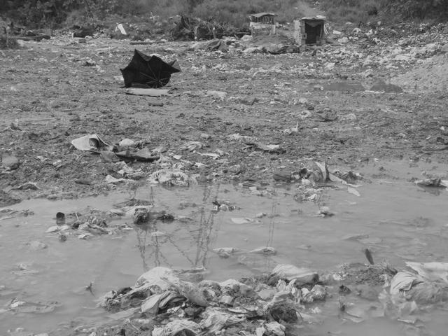 ANALFABETISMO AMBIENTAL