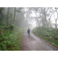 Estrada de acesso ao Parque Natural Municipal Nascentes de Paranapiacaba