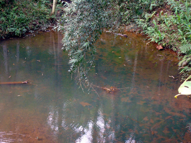 FONTE DE AGUA CRISTALINA