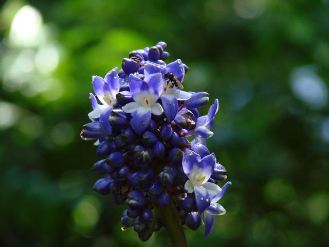 DSC02509