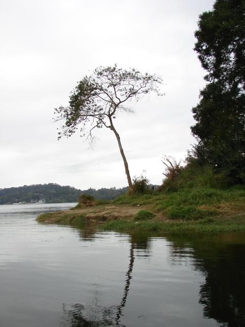 DSC00018