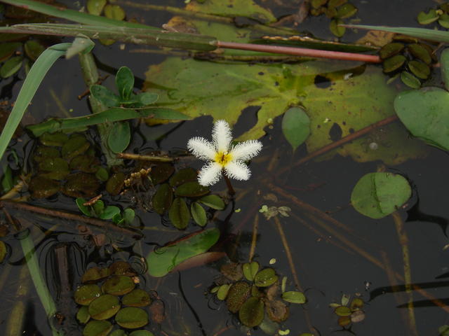 DSC00075