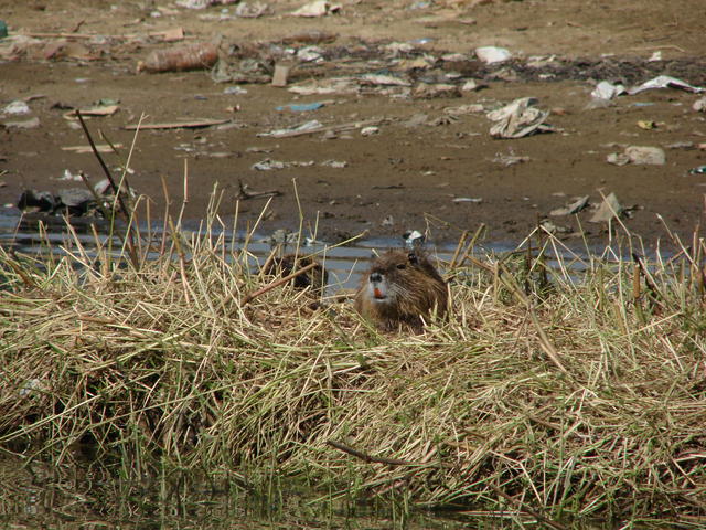 DSC01410