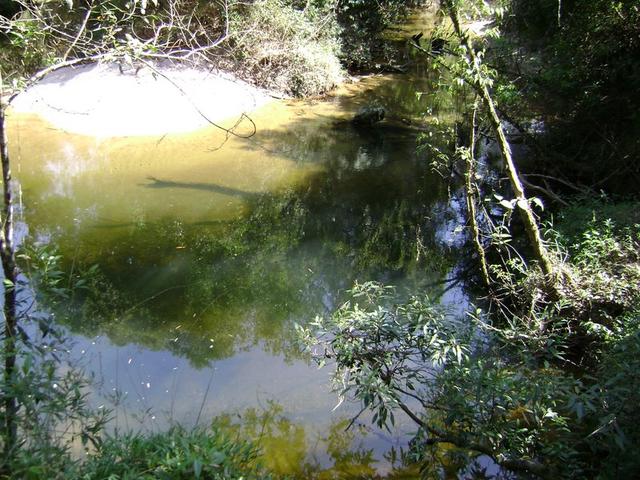 Nascente de Água Límpida