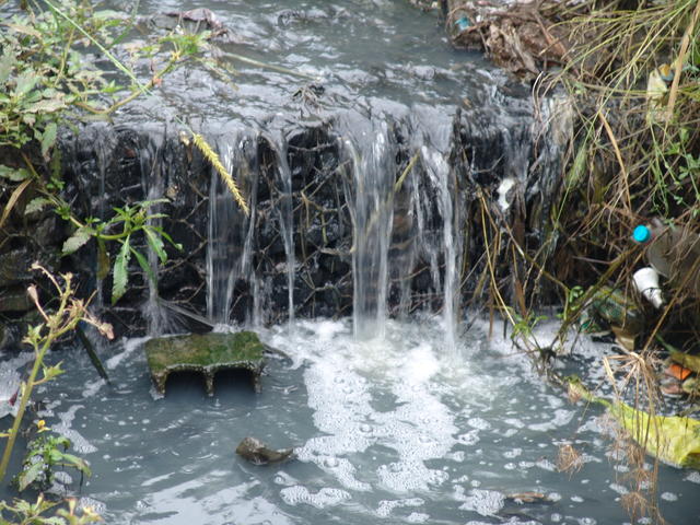 DSC04908