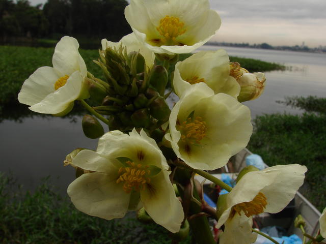 DSC00042