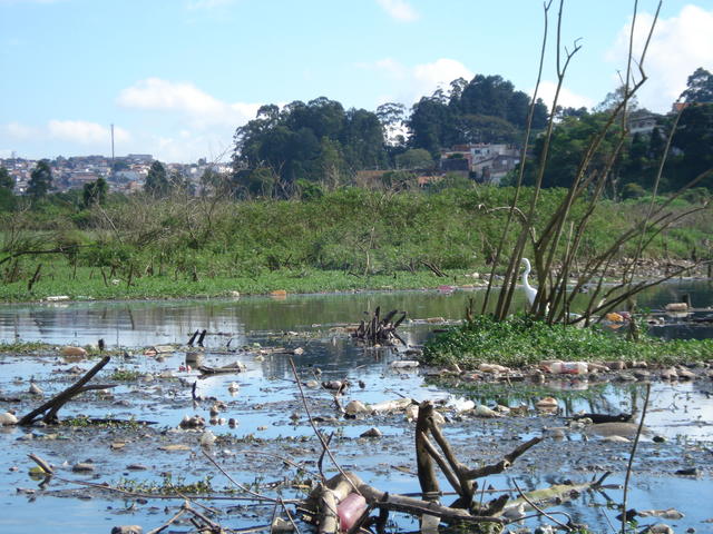 DSC01549