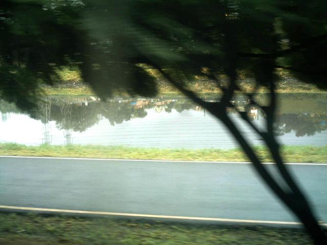 Reflexos