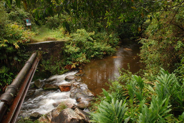 Parque Natural Municipal Nascentes de Paranapiacaba