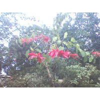 A beleza da natureza