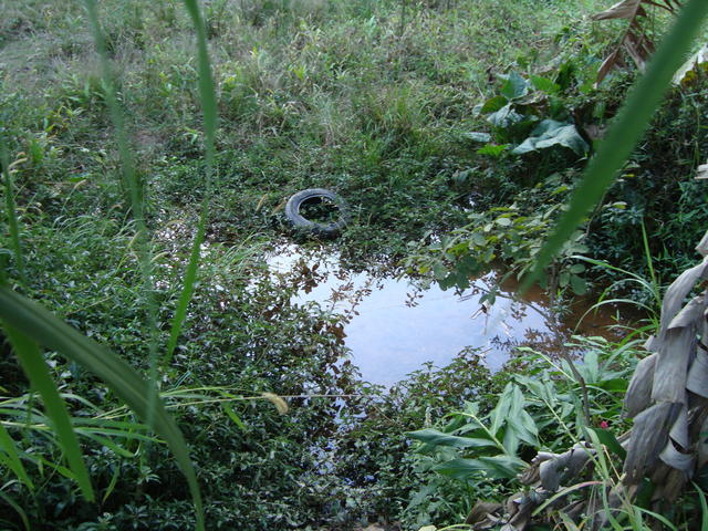 Parque Linear Ribeirão Caulin