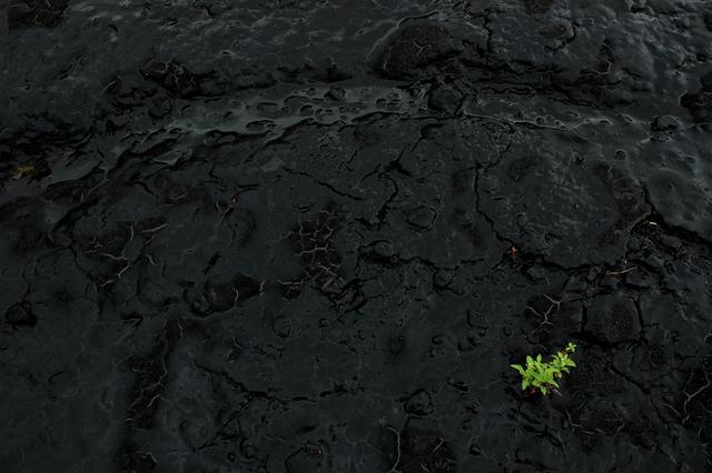 Verde em encosta impermebilizada.