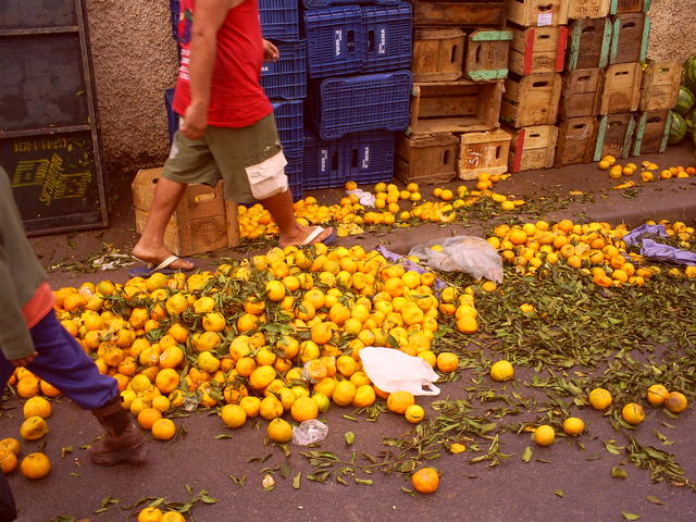alegria das cores...tristeza do desperdício