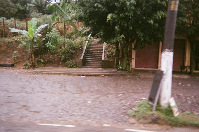 13090016