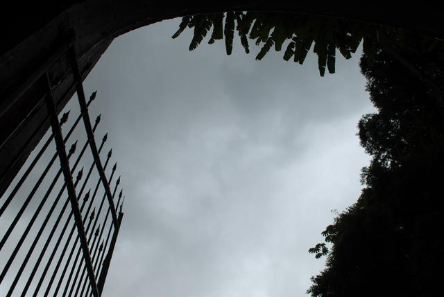 pD20080601_121732a