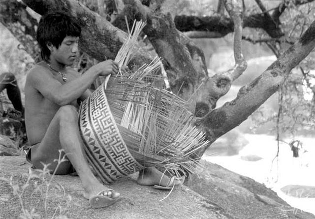 O aparai Sanari fazendo um cesto na aldeia Maxipurimo. Foto: Paula Morgado, 1992.
