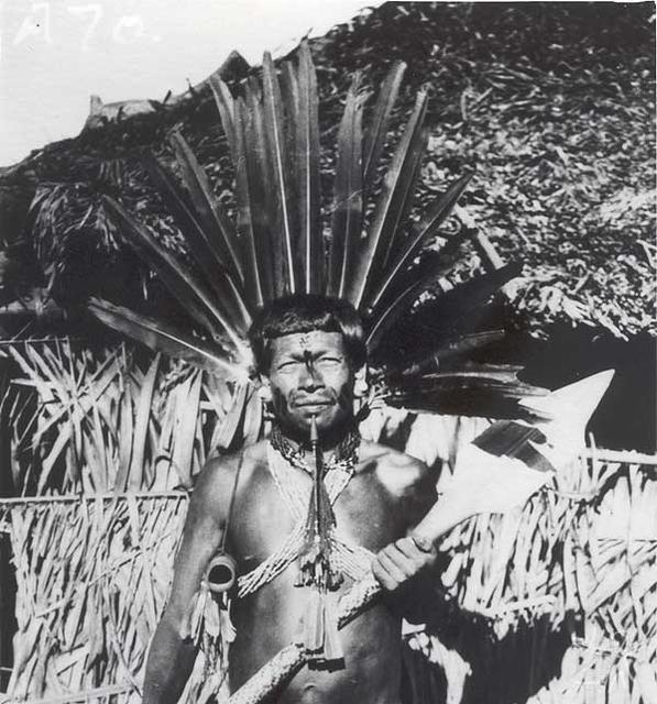 Apinajé paramentado com cocar de penas de arara. Foto: Curt Nimuendaju, 1937.