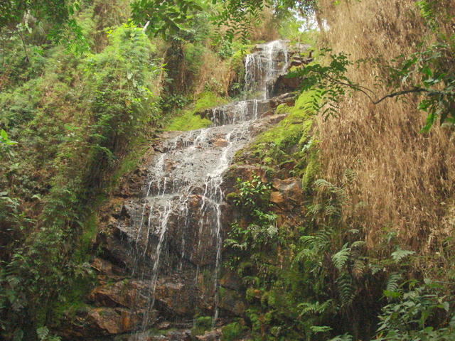 DSC04577