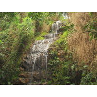 DSC04577