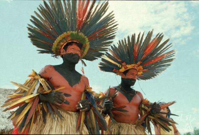 Bororo - Povos Indígenas no Brasil