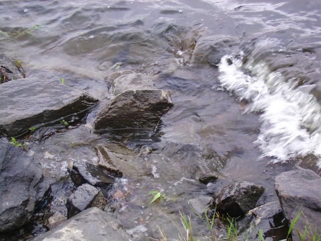 Represa do Guarapiranga