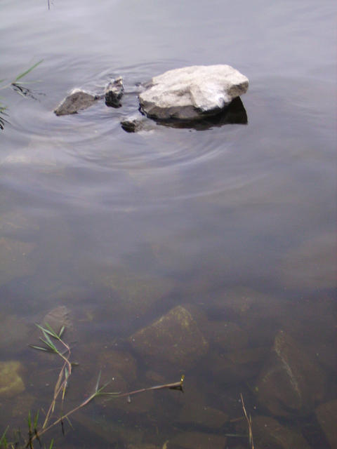 Represa do Guarapiranga