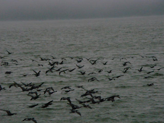 Mananciais 01-06-08 089.jpg