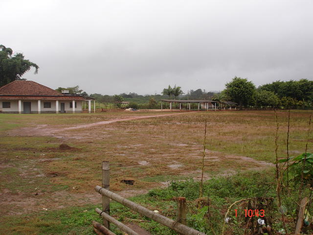 Escola Japonesa