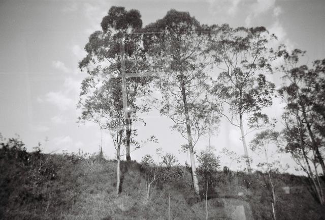 Futura área de desapropriação para obras do Rodoanel, Parque Imigrantes, São Bernardo do Campo.