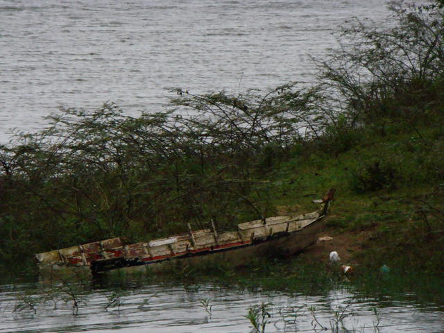 Mananciais 01-06-08 100