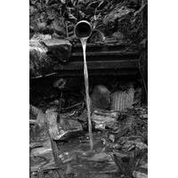 Grupo Um Certo Olhar