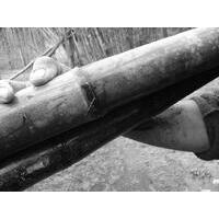 Grupo Um Certo Olhar