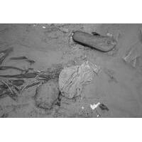 Grupo Um Certo Olhar