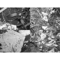 Grupo Um Certo Olhar