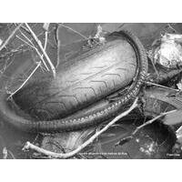 Grupo Um Certo Olhar