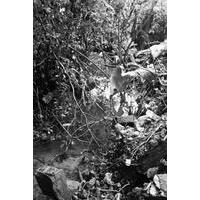 Grupo Um Certo Olhar