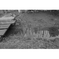 Grupo Um Certo Olhar