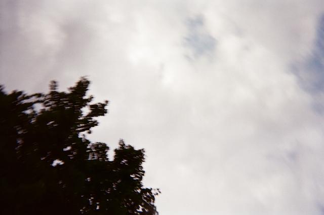 14960016