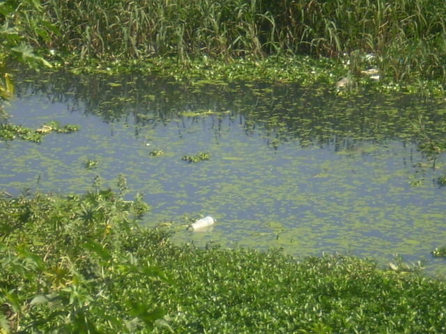 P1010073.JPG
