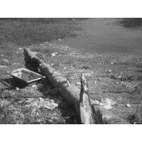 Edmilson Araujo Silva