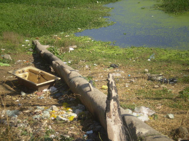 P1010076.JPG