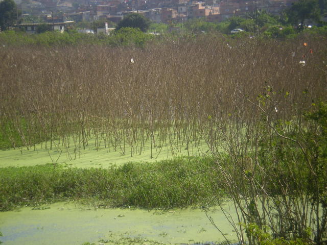 P1010077.JPG