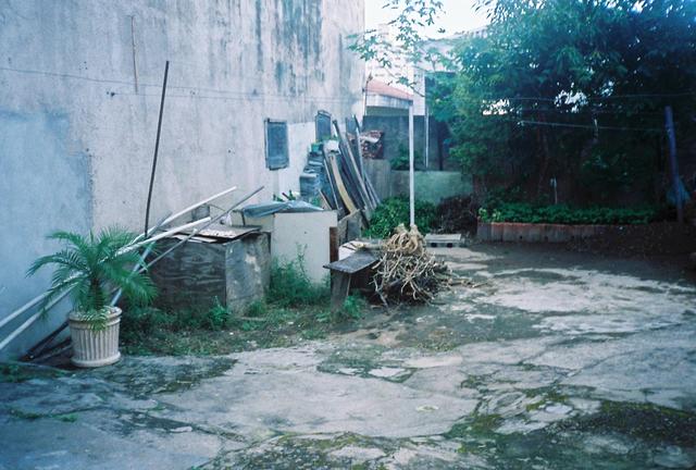 Fundo de quintal