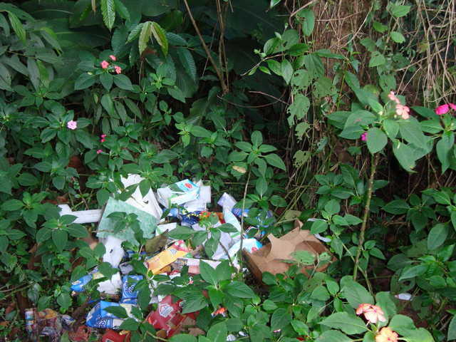 Lixo No Lugar Errado