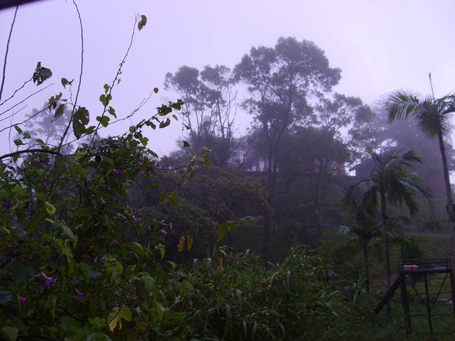 Cópia de S6001739
