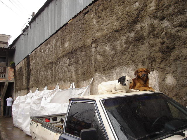 Vigilantes da Reciclagem