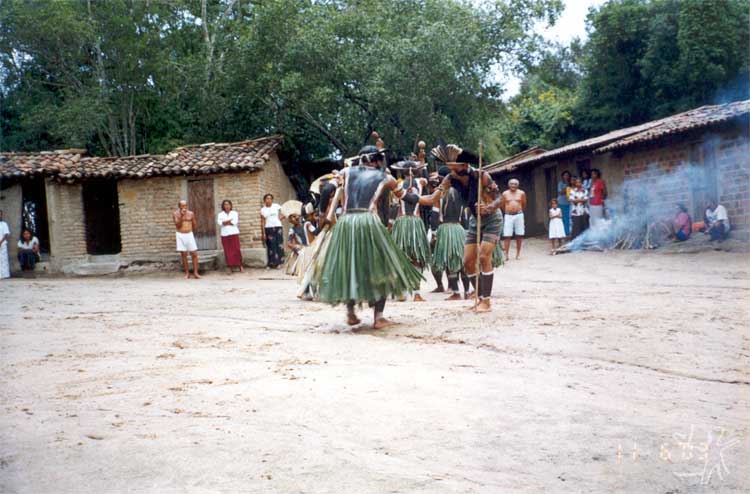 Tingui Botó - Povos Indígenas no Brasil